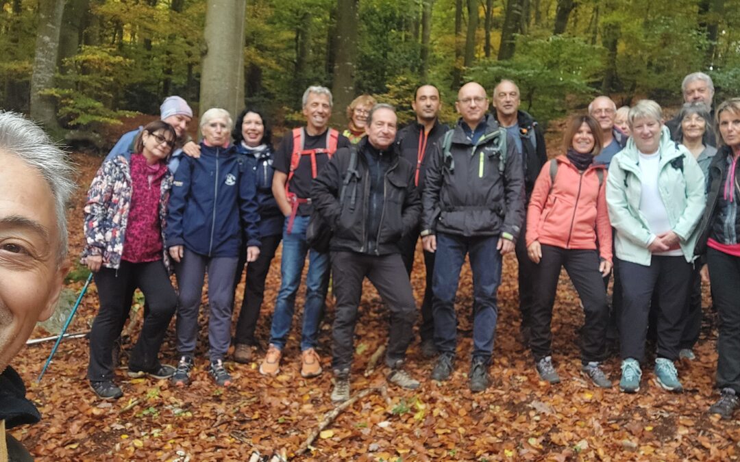 Sortie Pavezin Automne 2025